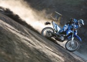 Yamaha WR250R